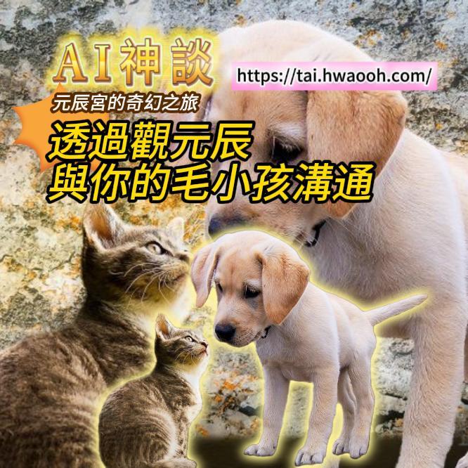 《AI 神談》 EP-02 Podcast 元辰宮的奇幻之旅~透過觀元辰與你的毛小孩溝通